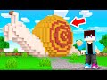 Bouw Een SLAK Binnen 5 MINUTEN CHALLENGE! (Minecraft)