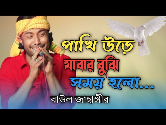 Shirin mushuk koplab fotosuratlar Lola Teylor Bizning ustimizdagi kuchi onlayn