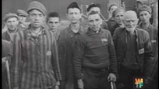 Witf The War Stories Severin Fayerman