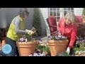 ASK MARTHA Container Gardening - Home How-To Series - Martha Stewart