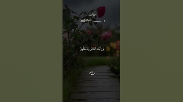 القرآن الكريم 🫀🎧 #اكسبلور #القران_الكريم #دويتو #المصحف #قران #duet #راحة_نفسية