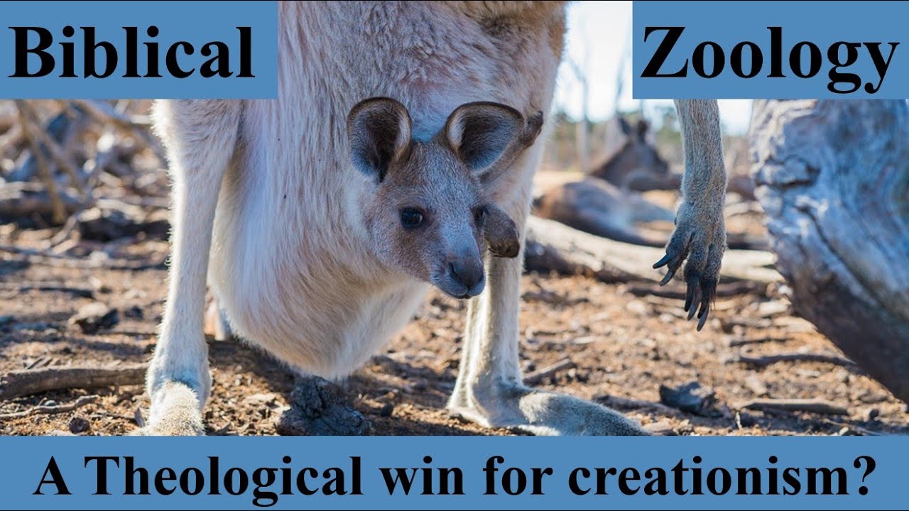 Biblical Zoology: A Theological Win for Creationism?