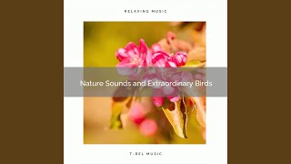 Experience High Relax with Peaceful Nature Noises for Naps pt. 1