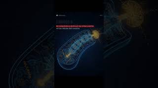 Más hechos impactantes en el documental: "Nanoplásticos. Una amenaza para la vida"