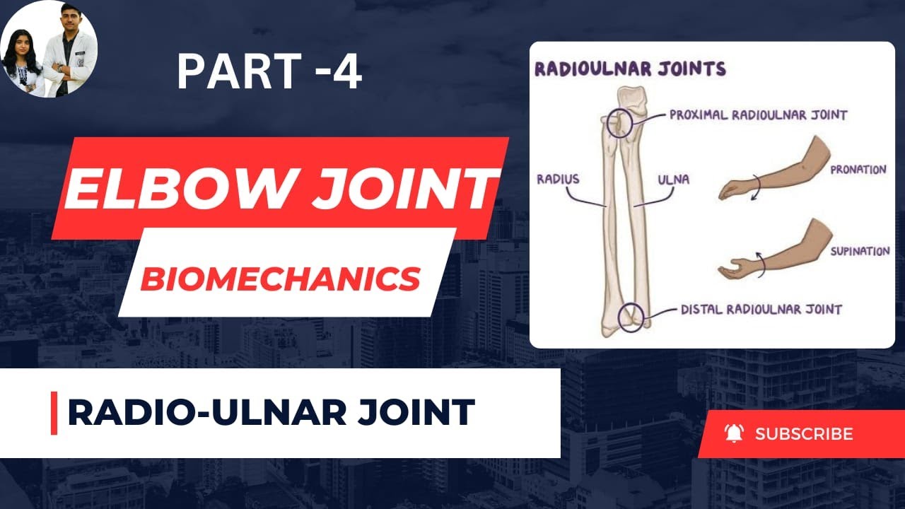 Radio-Ulnar joint biomechanics ll Supination and Pronation ll Elbow ...
