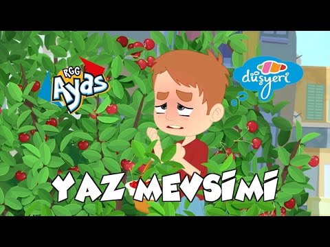 RGG Ayas - Yaz Mevsimi - Çizgi Film | Düşyeri