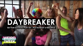Hollywire Goes To A 6Am Dance Party Tries Breadfacing Weird This Week Hollywire
