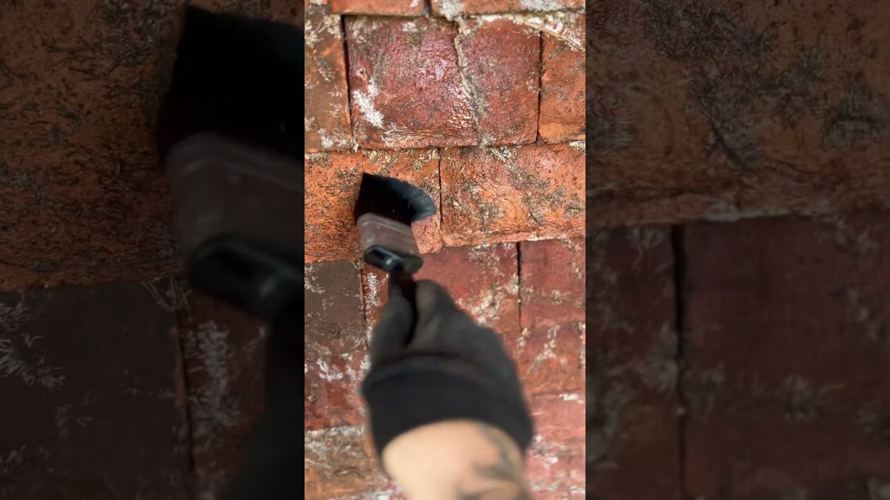 Big clean up of these tiles where vine previously had grown 