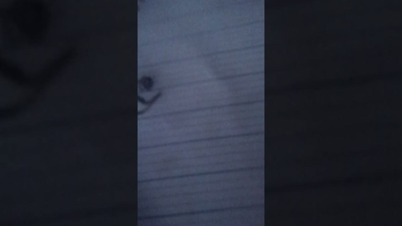 Dill worm upgrade @fishoftheyear