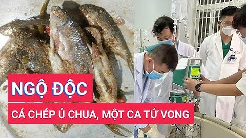 Ăn cá chép muối ủ chua, 10 người ngộ độc trong đó có một ca tử vong