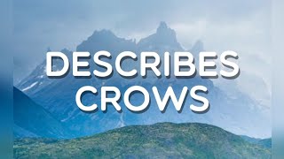 Describes crows, Level 327, Word Crush Answers, 4k.