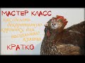 Курочка для Пасхального кулича  Мастер класс  Готовимся к Пасхе