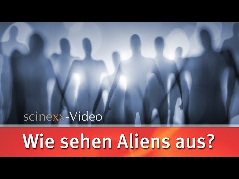 Video: Wie Könnten Aliens Aussehen? Der Schlüssel Zur Evolution - Alternative Ansicht