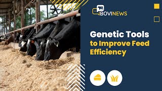 Webinar: Genetic Tools to Improve Feed Efficiency