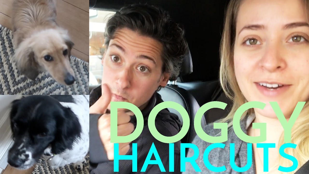 Doggy Haircuts & Storytime with MIKE! April 21st
