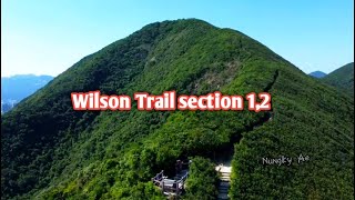 Wilson trail section 1,2 || Ma Kong Shan Viewing Point