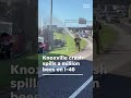 Truck crash along I-40 releases a million bees near downtown Knoxville