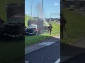 Truck crash along I-40 releases a million bees near downtown Knoxville