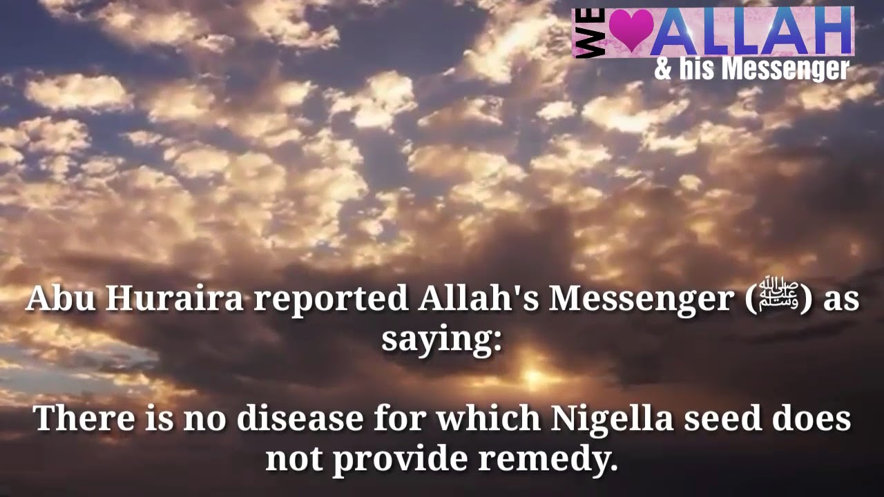 Daily Hadith 588 ( About Black Seeds Benefits YouTube