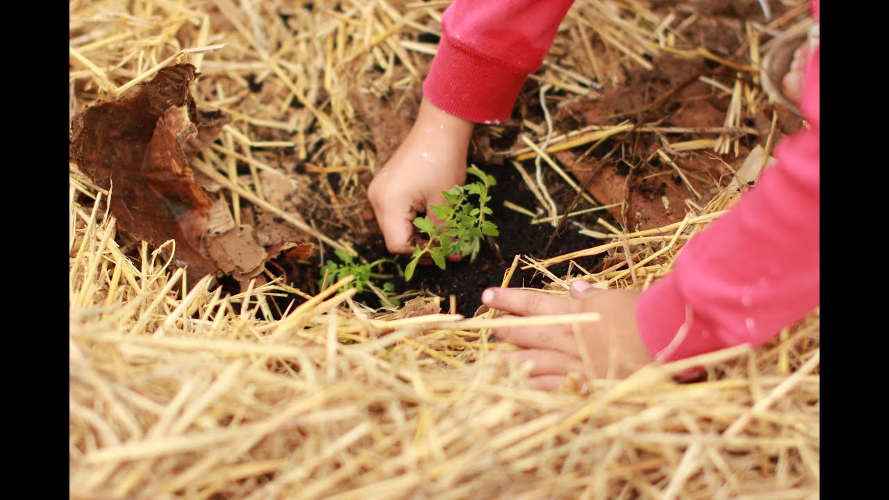 DAAD Alumni Seminar 2021