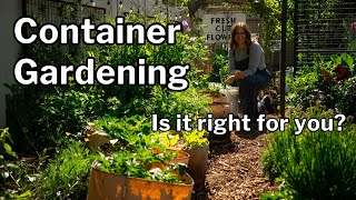 container gardening pros & cons: maximize benefits   understand challenges