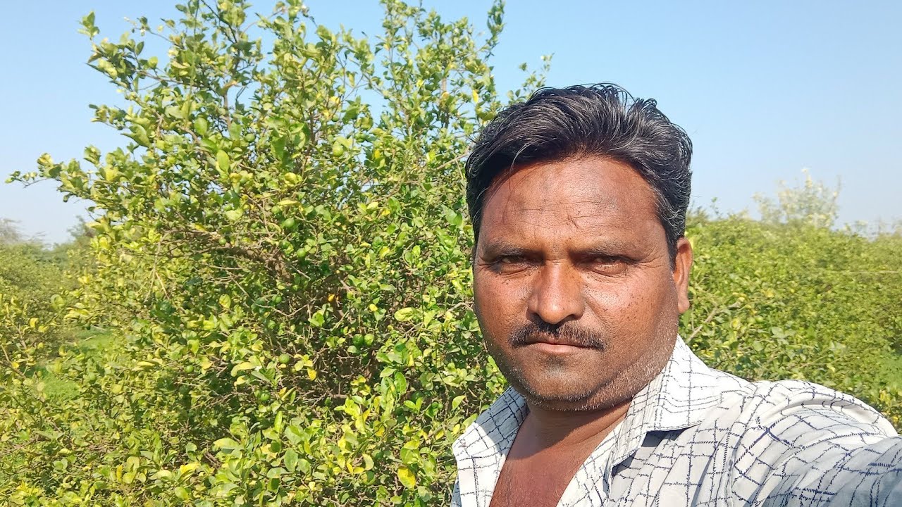 સાહેબની એ ફાયર ની કમાલ🤷