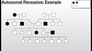 Famous Pedigree   Autosomal Recessive p60 Wealth
