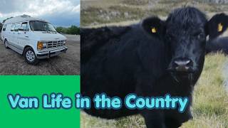 We have Cows and Turkeys and Vans, Oh my😮Country Van Life, Yea Ha