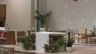 Live from Holy Cross Catholic Church