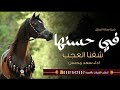 افخم شيلة حماسي ة طرب جديده 2025 في حسنها شفنا العجب صالة الحفل اداء سعد محسن قابله لتعديل 