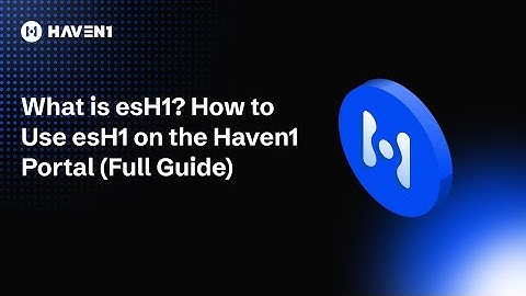 What is esH1? How to Use esH1 on the Haven1 Portal (Full Guide)