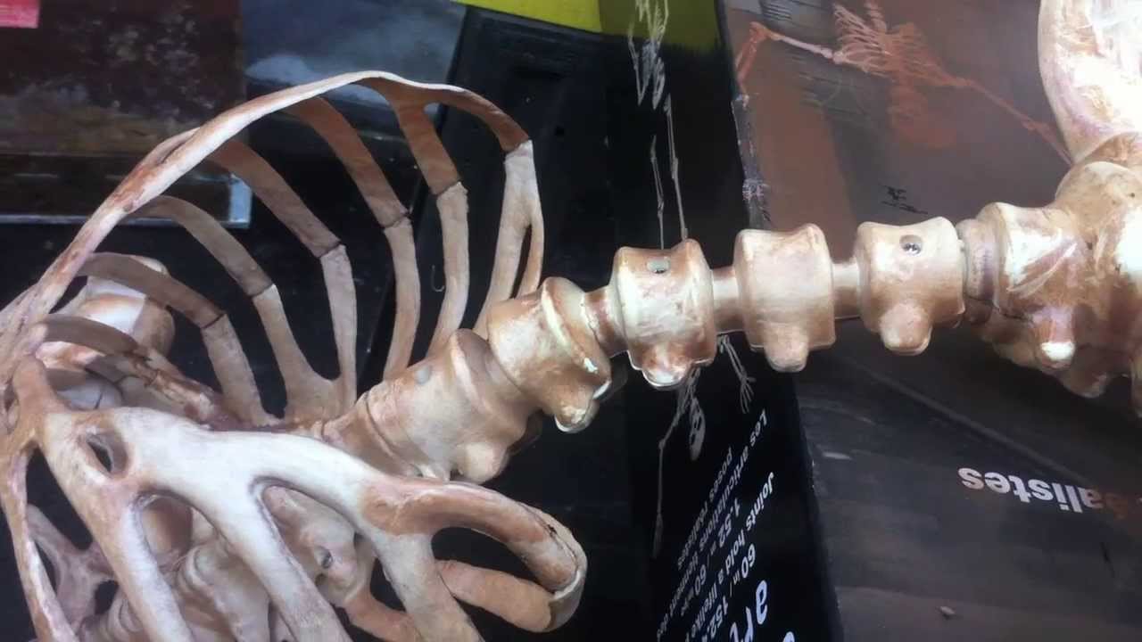 Getting the Most of a Cheap Skeleton YouTube