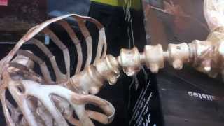 Getting the Most of a Cheap Skeleton