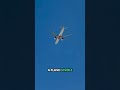 Top 5 Ground-to-Air Distress Signals