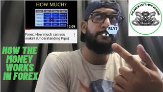 How much can you make trading forex? (Understanding Pips)