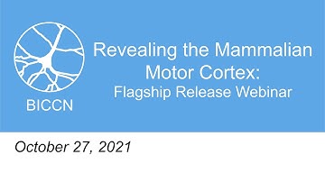 Revealing the Mammalian Motor Cortex: BICCN Flagship Release