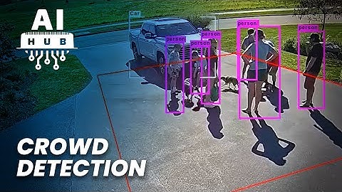 AI Hub: Crowd Detection