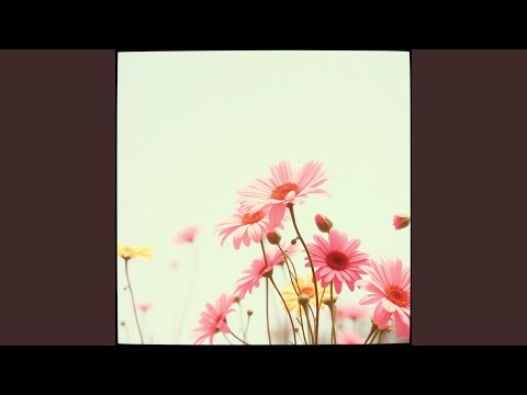 바람처럼 스쳐가는