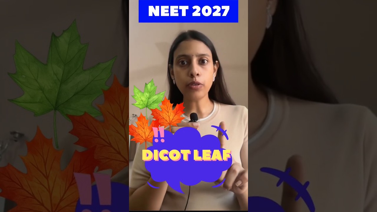 🍃 Dicot Leaf in 60 Seconds | Key Features 🔥 | NEET 2027 Biology #shorts