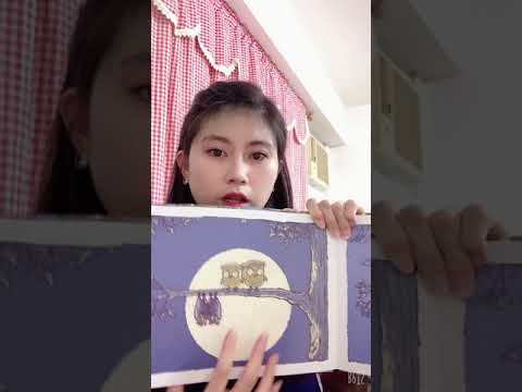 每週繪本時間❤️貓頭鷹🦉&蝙蝠（下）兩種不同的夜行動物是否能在同一個樹枝上共處呢😊