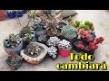 REMODELANDO MI TERRAZA/JARDÍN: empiezo a recoger mis plantas por especies 👩🏽‍🌾 | Jardines by Angie
