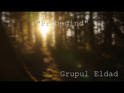 "Pribegind" | Grupul Eldad | Official Lyric Video | Eldad Music