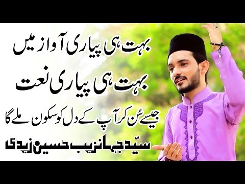 soz-e-dil-chahiye-by-syed-jhanzaib-hussain-zaidi-2017