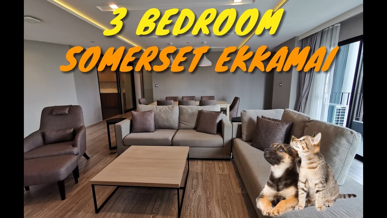😍Pet friendly 🐱🐶 3 Bedroom Apartment Somerset Ekamai YouTube