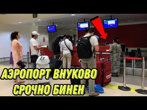 Аэропорт Внуково апашкара рои кардем тинчай