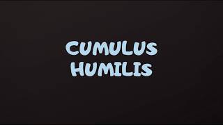 CUMULUS HUMILIS en viaje al sur Nubes en time lapse