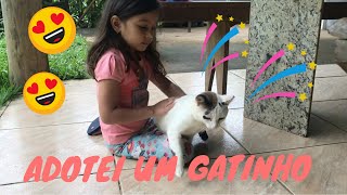 Adotei Um Gatinho, Meu Novo Amiguinho, Peio Na Roça.