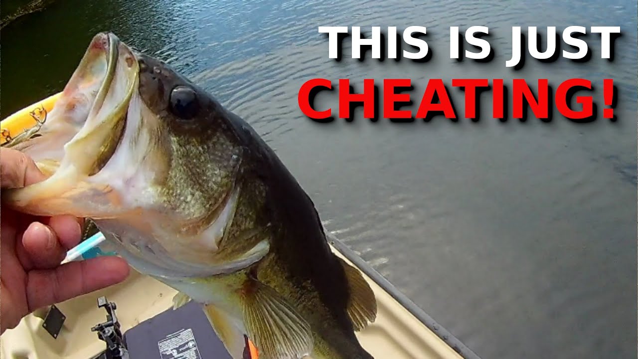 The SECRET To Catching 20-30 Bass OR MORE Every Day During The Prespawn!!!!!