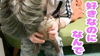 こんなに動物を愛しているのに一方通行です・・・