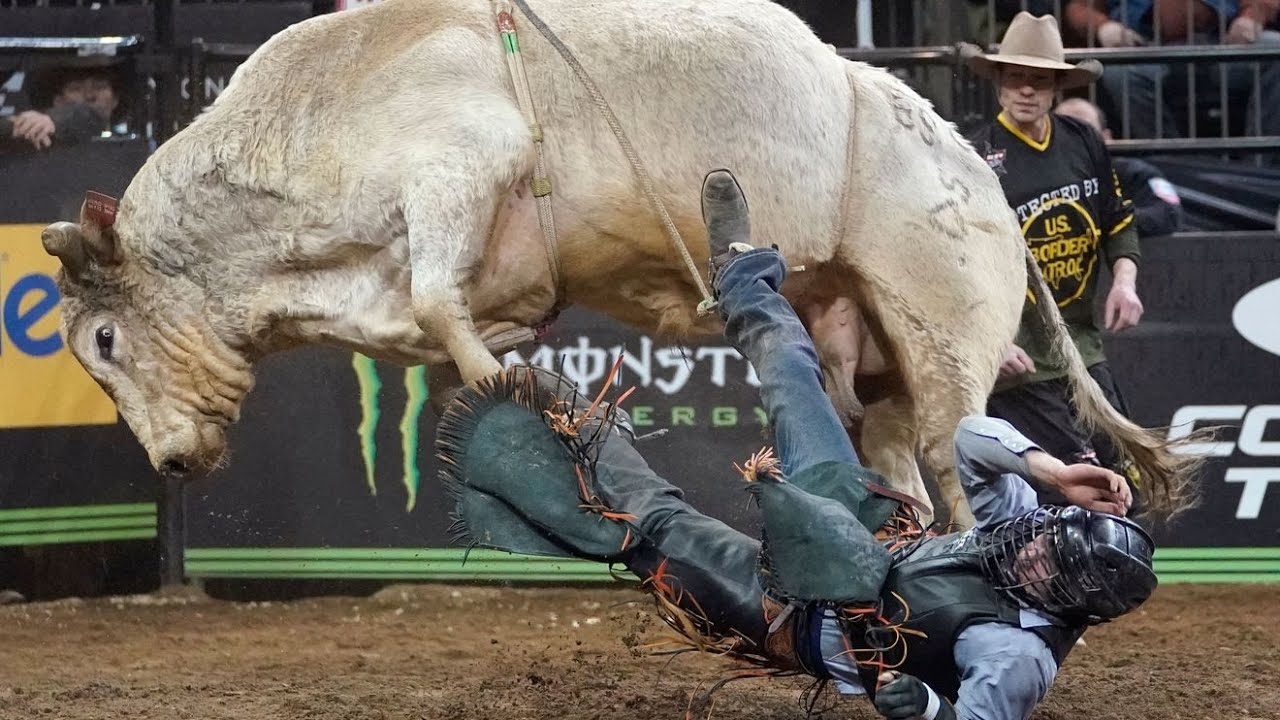 Stop the Rock by Appolo 440 - Bushwacker and the 2022 Professional Bull Riders highlights